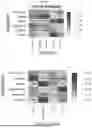Fig. 83 - Methods and Compositions for Assessing and Treating Lupus