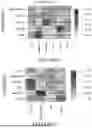 Fig. 85 - Methods and Compositions for Assessing and Treating Lupus