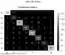 Fig. 96 - Methods and Compositions for Assessing and Treating Lupus