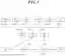 Fig. 02 - METHOD FOR CONTROLLING CONNECTION TIME OF TERMINAL, AND AMF NODE FOR PERFORMING METHOD