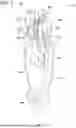 Fig. 04 - REPLACEABLE CURTAIN SYSTEM