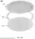 Fig. 02 - 3D LIQUID DIODE AND PERMEABLE ELECTRONIC DEVICES BASED ON THE SAME