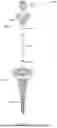 Fig. 45 - MEDICAL DEVICE FOR ACCESSING THE CENTRAL NERVOUS SYSTEM