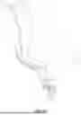 Fig. 40 - AMBULATORY SUPPORT DEVICE