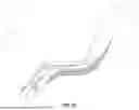 Fig. 46 - AMBULATORY SUPPORT DEVICE