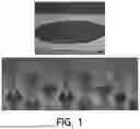 Fig. 02 - SOLUBLE MICRONEEDLE FOR LOCAL ANESTHESIA AND LOCAL ANESTHESIA PATCH COMPRISING SAME
