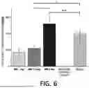 Fig. 06 - SOLUBLE MICRONEEDLE FOR LOCAL ANESTHESIA AND LOCAL ANESTHESIA PATCH COMPRISING SAME