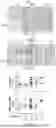 Fig. 07 - COMBINATION THERAPIES FOR MODULATION OF LIPID PRODUCTION