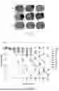 Fig. 22 - COMBINATION THERAPIES FOR MODULATION OF LIPID PRODUCTION