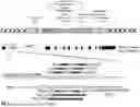 Fig. 02 - COMPOSITIONS AND METHODS FOR THE TREATMENT OF EXPANDED REPEAT-ASSOCIATED DISORDERS