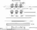 Fig. 04 - COMPOSITIONS AND METHODS FOR THE TREATMENT OF EXPANDED REPEAT-ASSOCIATED DISORDERS