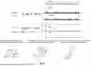 Fig. 06 - COMPOSITIONS AND METHODS FOR THE TREATMENT OF EXPANDED REPEAT-ASSOCIATED DISORDERS