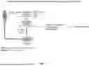 Fig. 07 - COMPOSITIONS AND METHODS FOR THE TREATMENT OF EXPANDED REPEAT-ASSOCIATED DISORDERS