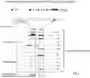 Fig. 08 - COMPOSITIONS AND METHODS FOR THE TREATMENT OF EXPANDED REPEAT-ASSOCIATED DISORDERS