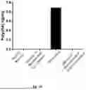 Fig. 11 - COMPOSITIONS AND METHODS FOR THE TREATMENT OF EXPANDED REPEAT-ASSOCIATED DISORDERS