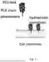 Fig. 02 - NEW USE OF PEG-PHOSPHOLIPID MOLECULES