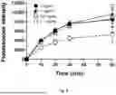 Fig. 03 - NEW USE OF PEG-PHOSPHOLIPID MOLECULES