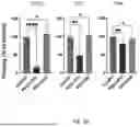 Fig. 04 - NEW USE OF PEG-PHOSPHOLIPID MOLECULES