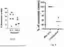 Fig. 10 - NEW USE OF PEG-PHOSPHOLIPID MOLECULES