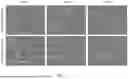 Fig. 16 - NEW USE OF PEG-PHOSPHOLIPID MOLECULES