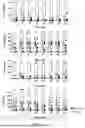 Fig. 18 - NEW USE OF PEG-PHOSPHOLIPID MOLECULES