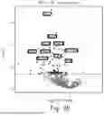 Fig. 06 - EXTRACELLULAR VESICLES FOR THERAPY