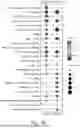 Fig. 09 - EXTRACELLULAR VESICLES FOR THERAPY