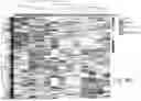 Fig. 28 - EXTRACELLULAR VESICLES FOR THERAPY