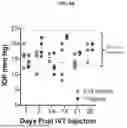 Fig. 08 - COMPLEMENT FACTOR I DOSING REGIMENS FOR TREATING OCULAR DISEASES