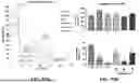 Fig. 167 - LIPID NANOPARTICLE COMPOSITIONS AND USES THEREOF