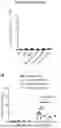 Fig. 71 - Materials & Methods for Treatment of Macular Degeneration