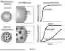 Fig. 04 - METHODS OF MANUFACTURING INJECTABLE MICROGEL SCAFFOLDS