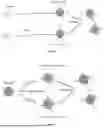 Fig. 05 - METHODS OF MANUFACTURING INJECTABLE MICROGEL SCAFFOLDS