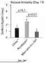 Fig. 10 - METHODS OF MANUFACTURING INJECTABLE MICROGEL SCAFFOLDS