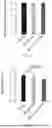 Fig. 11 - METHODS OF MANUFACTURING INJECTABLE MICROGEL SCAFFOLDS
