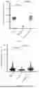 Fig. 12 - METHODS OF MANUFACTURING INJECTABLE MICROGEL SCAFFOLDS