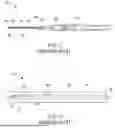Fig. 02 - Vascular Access Devices for Catheter Insertion