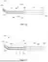 Fig. 09 - Vascular Access Devices for Catheter Insertion