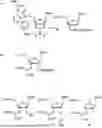 Fig. 01 - IMPROVED OLIGONUCLEOTIDE SYNTHESIS