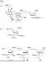 Fig. 02 - IMPROVED OLIGONUCLEOTIDE SYNTHESIS