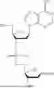 Fig. 27 - IMPROVED OLIGONUCLEOTIDE SYNTHESIS