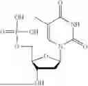 Fig. 29 - IMPROVED OLIGONUCLEOTIDE SYNTHESIS