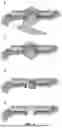 Fig. 07 - COMPOSITIONS AND METHODS FOR TARGETED THERAPEUTIC DELIVERY TO BONE