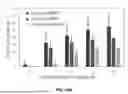 Fig. 22 - COMPOSITIONS AND METHODS FOR TARGETED THERAPEUTIC DELIVERY TO BONE