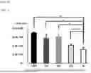 Fig. 09 - CELL PROLIFERATION APPARATUSES AND USES THEREOF