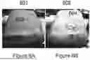 Fig. 08 - METHODS, SYSTEMS AND RELATED MACHINE LEARNING TOOLS FOR CONTROLLED GROWTH OF AERIAL MYCELIUM, INCLUDING TARGETED ASSEMBLY OF MYCELIAL GROWTH SUBSTRATES, SELECTION OF AERIAL MYCELIUM MATERIALS FOR SUITABLE END USES, AND AERIAL MYCELIUM MATERIALS PRODUCED THEREBY