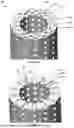 Fig. 09 - AN APPARATUS FOR SEPARATING MICRO-SWIMMERS