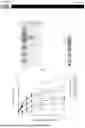 Fig. 02 - RECOMBINANT KOD POLYMERASE