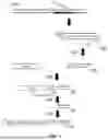 Fig. 08 - CREATION AND USE OF GUIDE NUCLEIC ACIDS