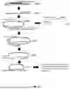 Fig. 40 - CREATION AND USE OF GUIDE NUCLEIC ACIDS